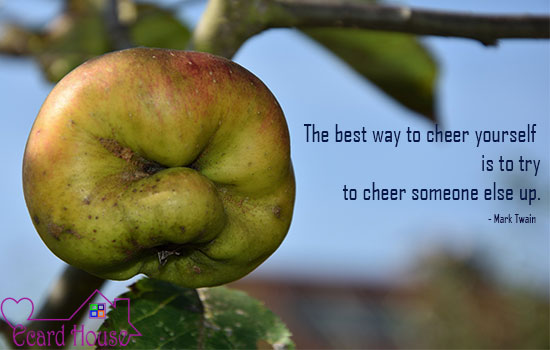 Cheer others