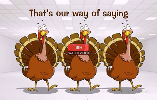 Thanksgiving Turkeys!