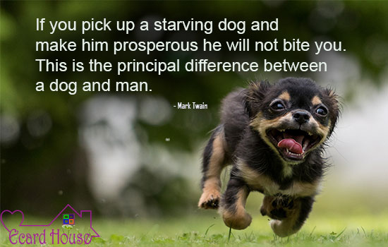 Difference in dogs & men
