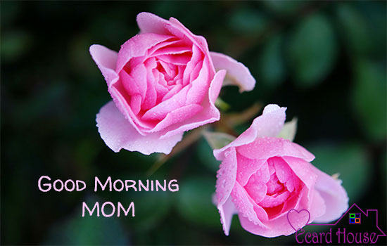Good Morning MOM