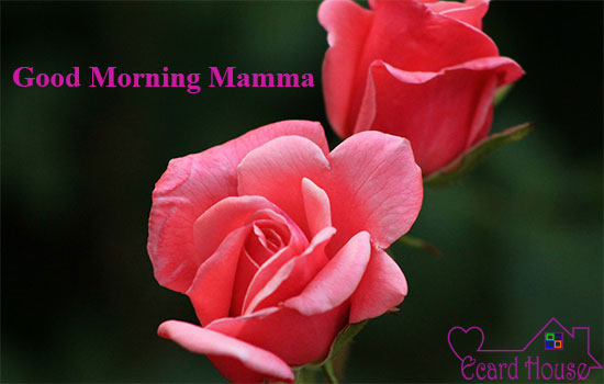 Good Morning Mamma