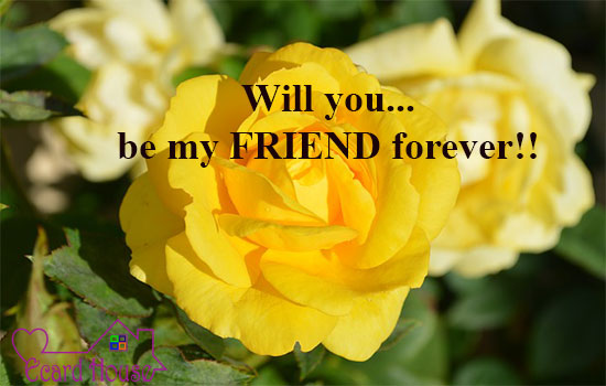 Will You Be My Friend For Ever !
