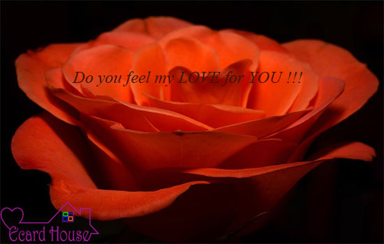 Do You Feel My Love For You !