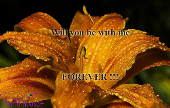 Will You Be With Me Forever !