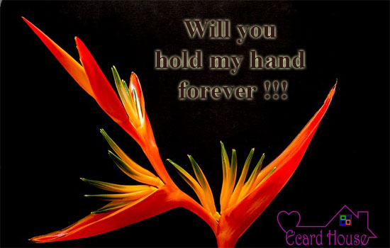 Will You Hold My Hand Forever !