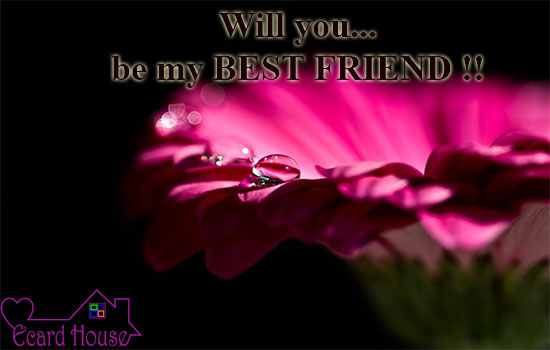 Will You Be My Best Friend !