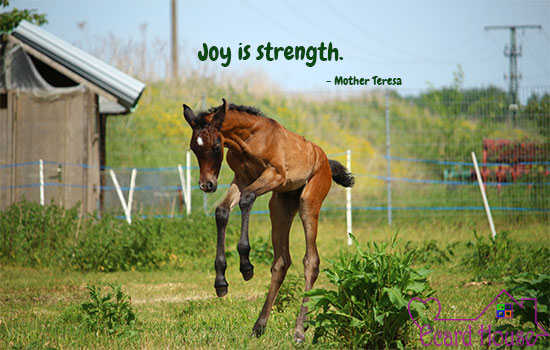 Joy is strength.